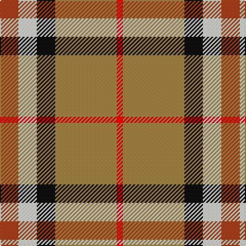 T/18 LYa18 K18 LT60 R/6 tartan Tartan detail