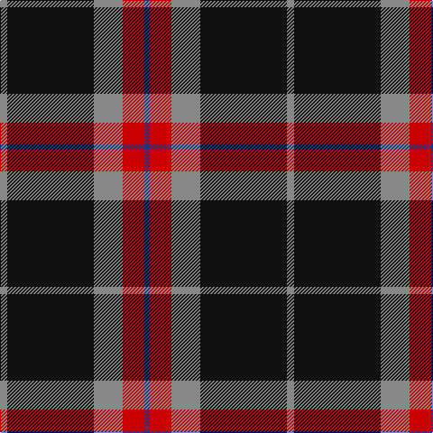 DB/6 R24 N32 K96 N/8 tartan Tartan detail