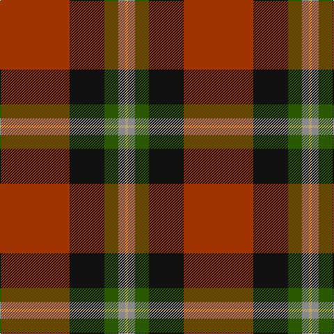 LG/4 N10 G20 K50 R/100 tartan Tartan detail
