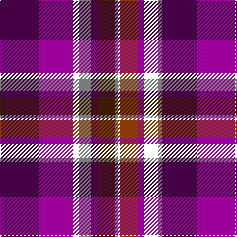 LN/6 T18 P6 LN18 P/74 tartan Tartan detail