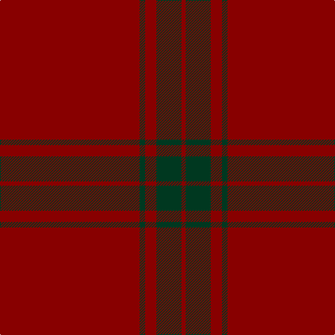 DR/6 DG36 DR16 DG8 DR/200 tartan Tartan detail