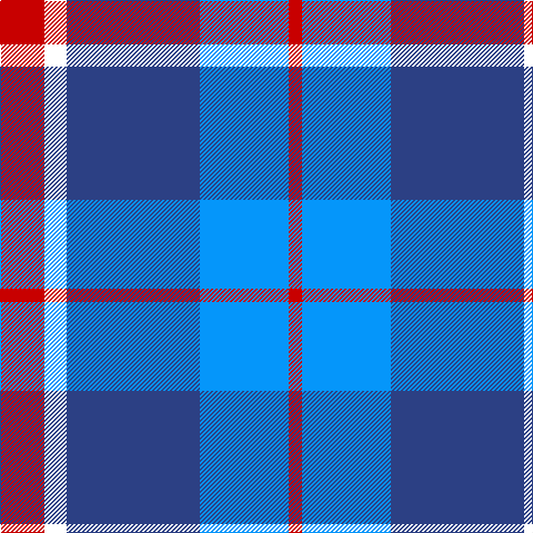 R/12 Ba80 B120 W20 R/40 tartan Tartan detail