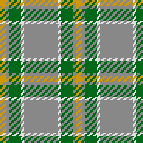 DY/20 N10 G40 LN10 N/114 tartan Tartan detail