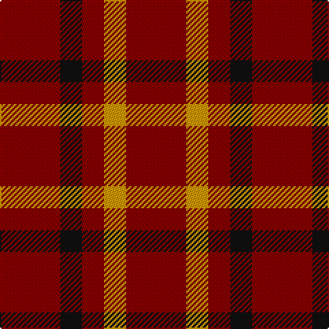 DR/44 K16 DR16 DY16 DR/44 tartan Tartan detail