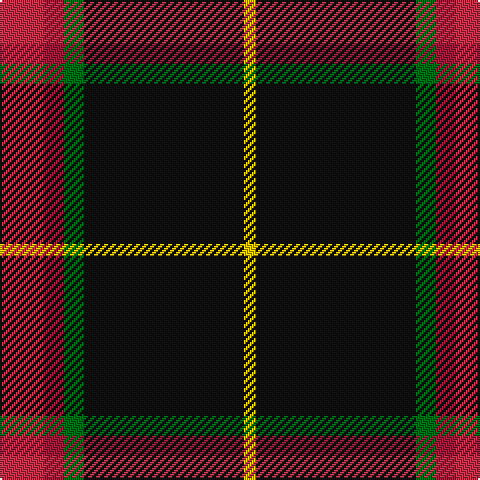 R/22 DR10 G10 K80 Y/6 tartan Tartan detail
