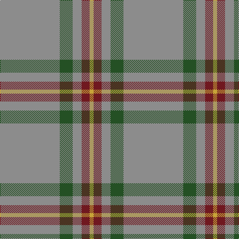 N/120 G26 N18 DR16 O/8 tartan Tartan detail