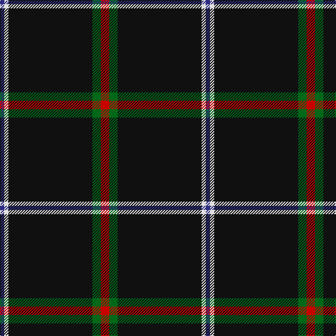 DB/6 LN6 K120 G12 R/12 tartan Tartan detail