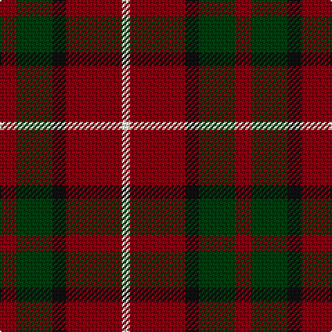 DR/12 DG26 K10 DR40 LY/6 tartan Tartan detail