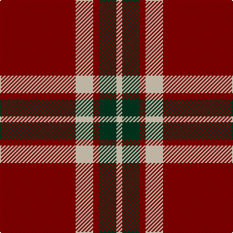 DR/78 LR18 DR6 DG18 LR/6 tartan Tartan detail