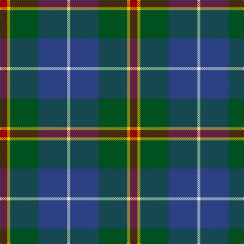 DR/14 Y6 G56 B56 LN/6 tartan Tartan detail