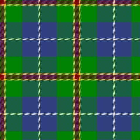 DR/14 Y6 G56 B56 LN/6 tartan Tartan detail