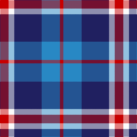 R/12 B64 DB96 W20 R/30 tartan Tartan detail