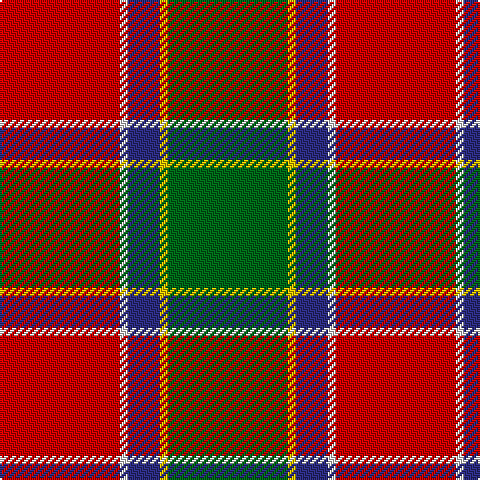 R/60 LN4 DB16 Y4 G/60 tartan Tartan detail