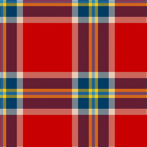 B/10 Y10 DB35 LR20 R/160 tartan Tartan detail