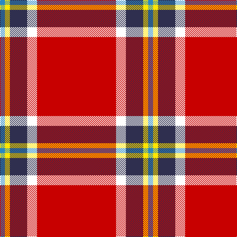 B/10 Y10 DB35 W20 R/160 tartan Tartan detail