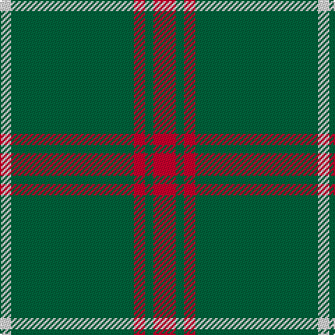 LN/8 G88 R8 G6 R/16 tartan Tartan detail