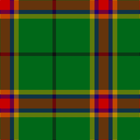 R/34 DB14 DY16 G116 K/12 tartan Tartan detail
