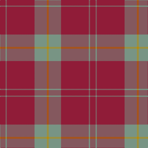 DR/18 LG4 DR90 LG40 DY/6 tartan Tartan detail