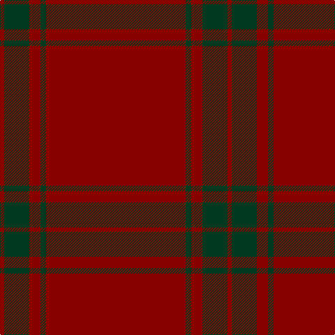 DR/6 DG36 DR16 DG8 DR/200 tartan Tartan detail