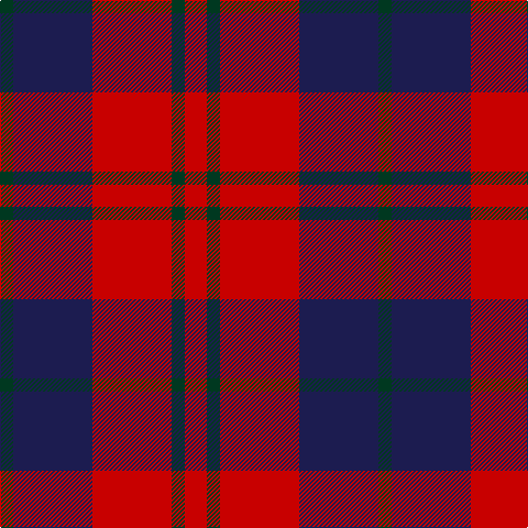 DG/12 DB72 R72 DG12 R/20 tartan Tartan detail