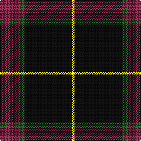 DRa/22 DR10 G10 K80 Y/6 tartan Tartan detail