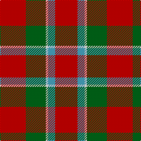 R/38 B12 W4 G34 R/44 tartan Tartan detail