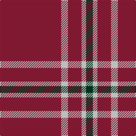 DR/108 LN12 DR24 LN8 DG/12 tartan Tartan detail