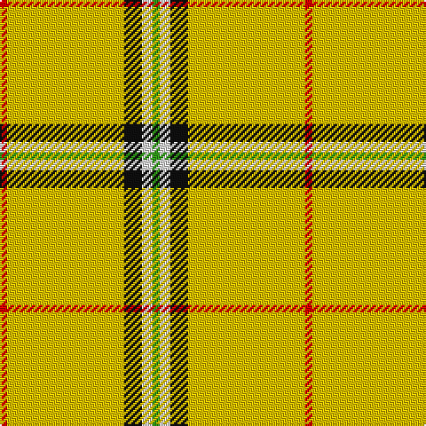 R/4 Y66 K10 LN6 G/4 tartan Tartan detail
