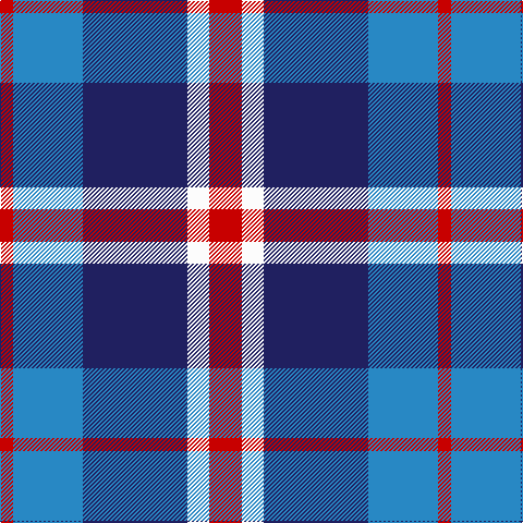 R/12 B64 DB96 W20 R/30 tartan Tartan detail