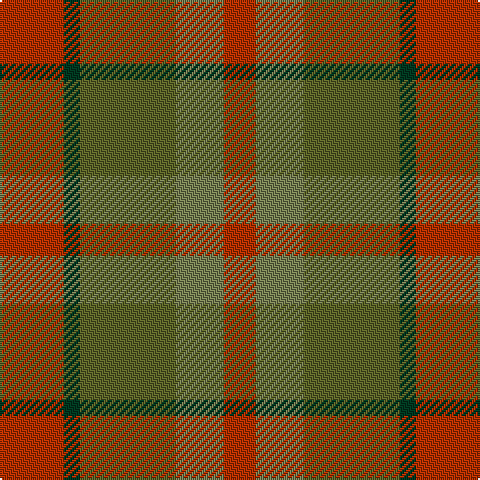 R/32 DG8 G48 Ga24 R/16 tartan Tartan detail