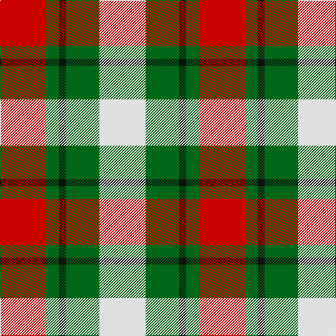 R/66 G18 K10 G48 LN/66 tartan Tartan detail