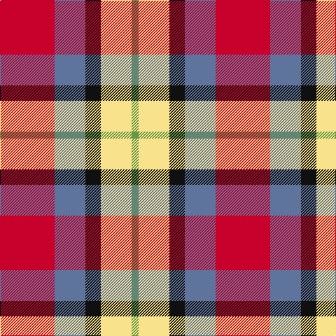 LG/10 LY44 K22 B44 R/78 tartan Tartan detail