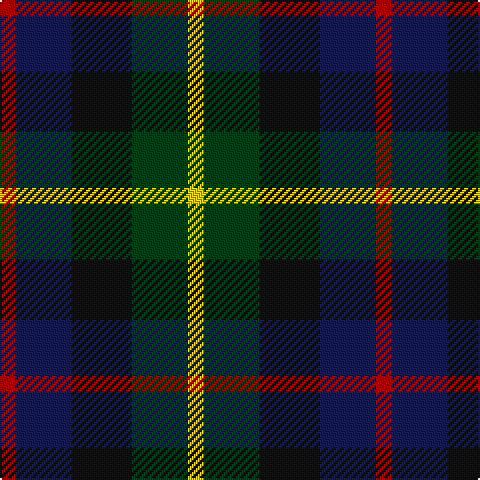 DR/8 DB28 K30 DG28 Y/8 tartan Tartan detail