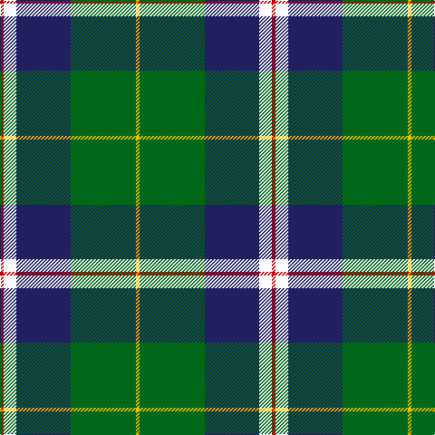 R/4 W14 DB60 G72 Y/4 tartan Tartan detail