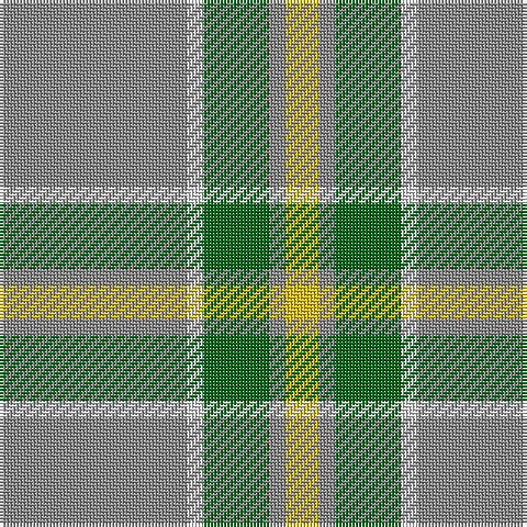 N/57 LN5 G20 N5 Y/10 tartan Tartan detail