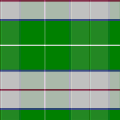 DR/6 N70 B8 G94 LN/6 tartan Tartan detail