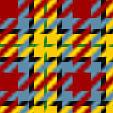 DR/78 B44 K22 Y44 G/10 tartan Tartan detail