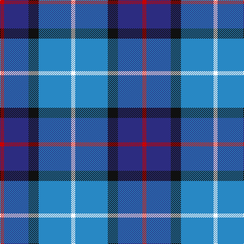 R/8 DB48 K20 B64 W/8 tartan Tartan detail