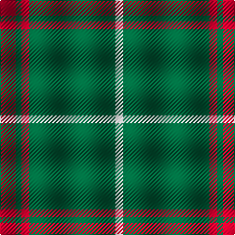 LN/8 G88 R8 G6 R/16 tartan Tartan detail