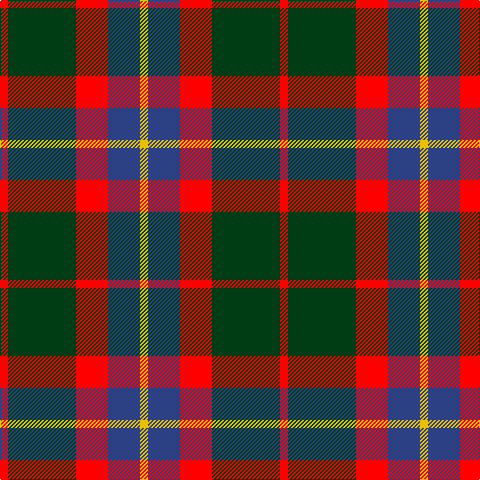 R/8 DG68 R32 B32 Y/8 tartan Tartan detail