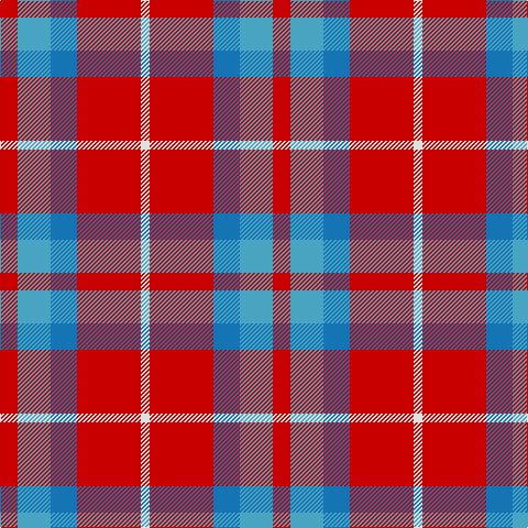 R/16 Ba30 B24 R58 LN/8 tartan Tartan detail