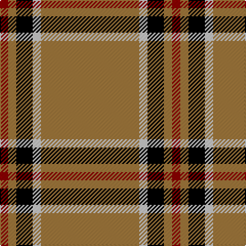 DR/8 LT8 K16 N8 LT/96 tartan Tartan detail