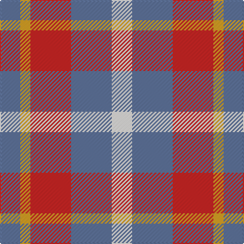 B/20 Y10 R40 B40 W/20 tartan Tartan detail
