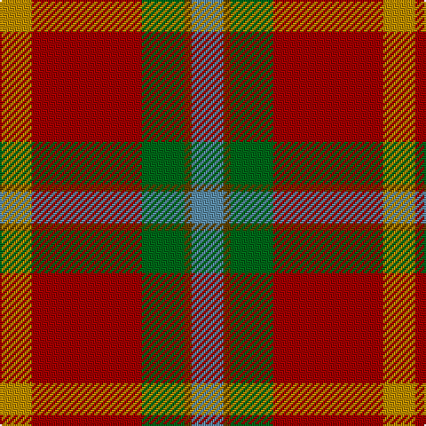 DY/18 DR62 G24 T4 B/18 tartan Tartan detail