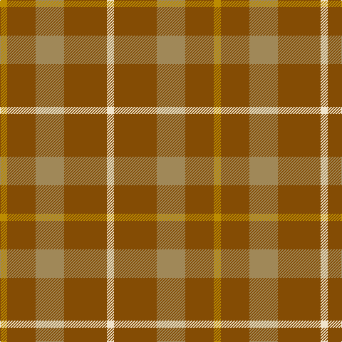 DY/10 T40 LT40 T60 W/10 tartan Tartan detail
