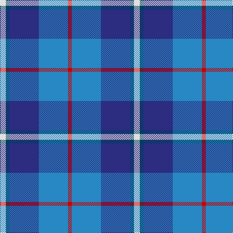 LN/12 DBa8 DB60 B60 R/8 tartan Tartan detail