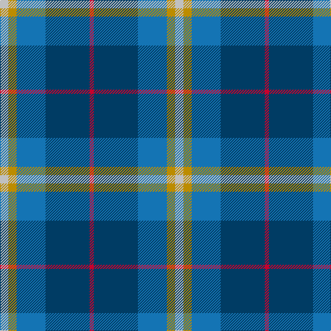 N/12 DY12 B42 DB64 R/6 tartan Tartan detail