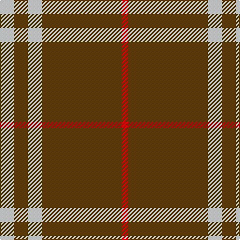 LN/14 T14 LN14 T80 R/6 tartan Tartan detail