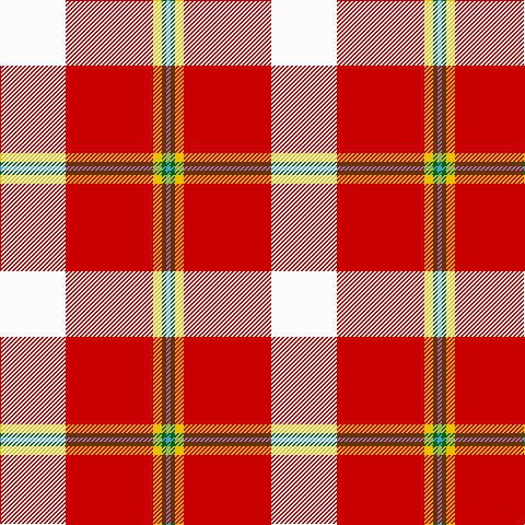 W/60 R80 Y8 G4 B/4 tartan Tartan detail