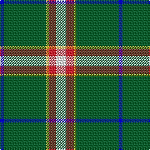 B/6 G68 Y4 R12 W/16 tartan Tartan detail